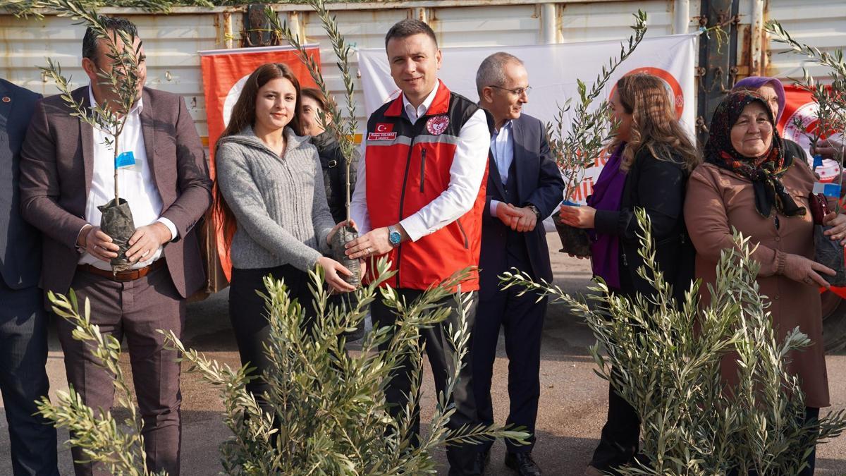 Osmaniyede çiftçilere 61 bin 106 adet sertifikalı zeytin fidanı dağıtıldı