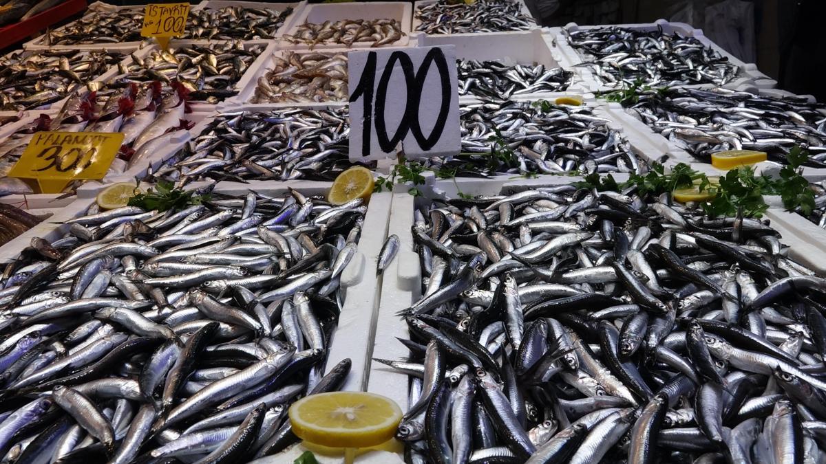 Balık tezgahlarında hamsi bolluğu