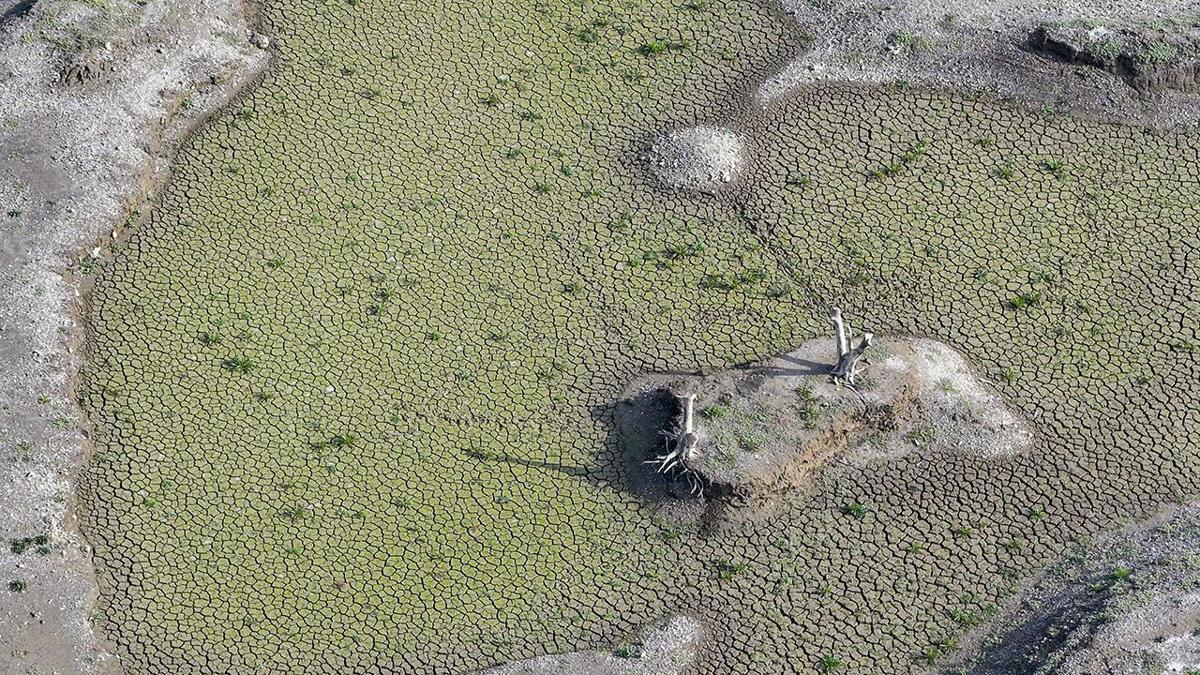 İzmir'de barajlar alarm veriyor: Yüzde 1'in altına düştü