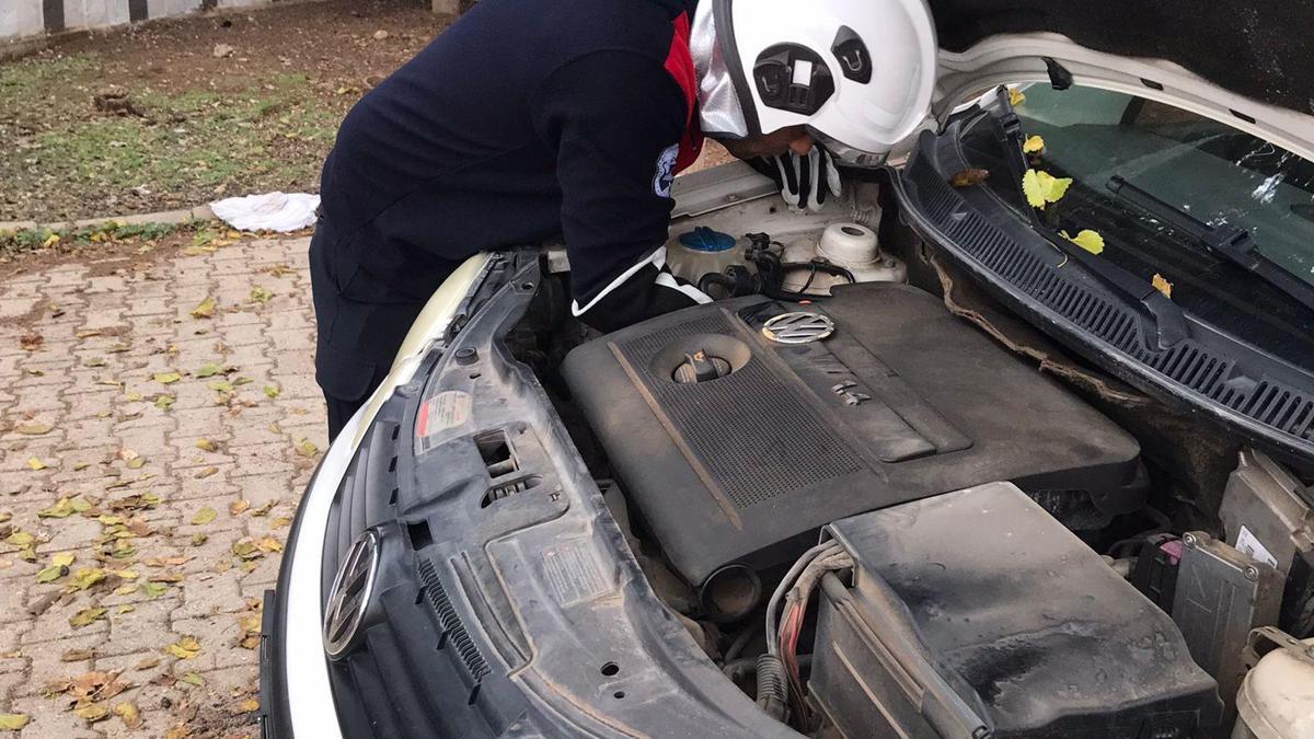 Otomobilin motoruna giren yavru kedi kurtarıldı