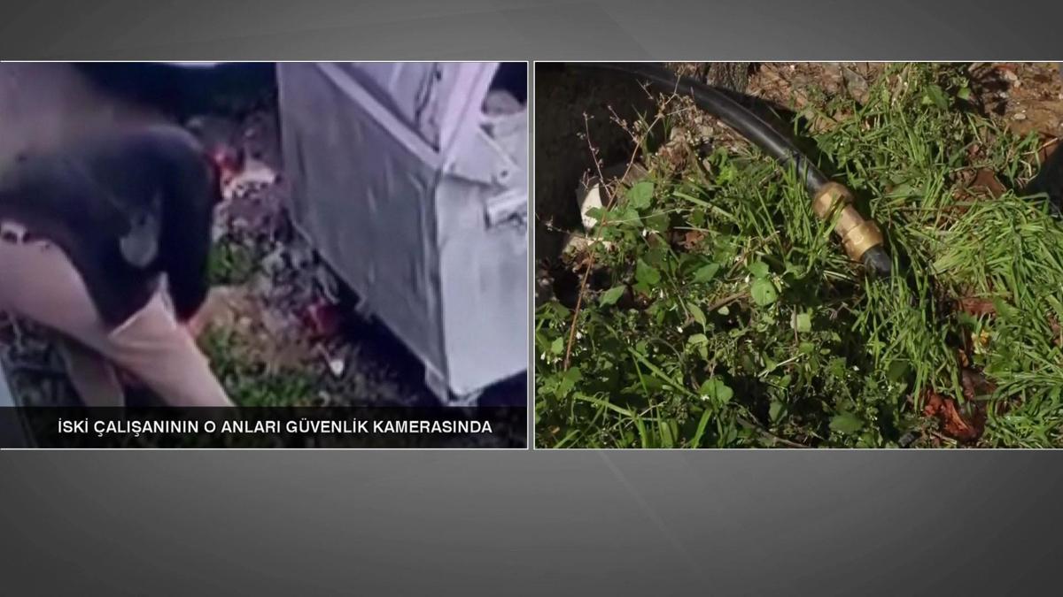 Önce kesti, sonra onardı: Pendik’te skandal görüntüler