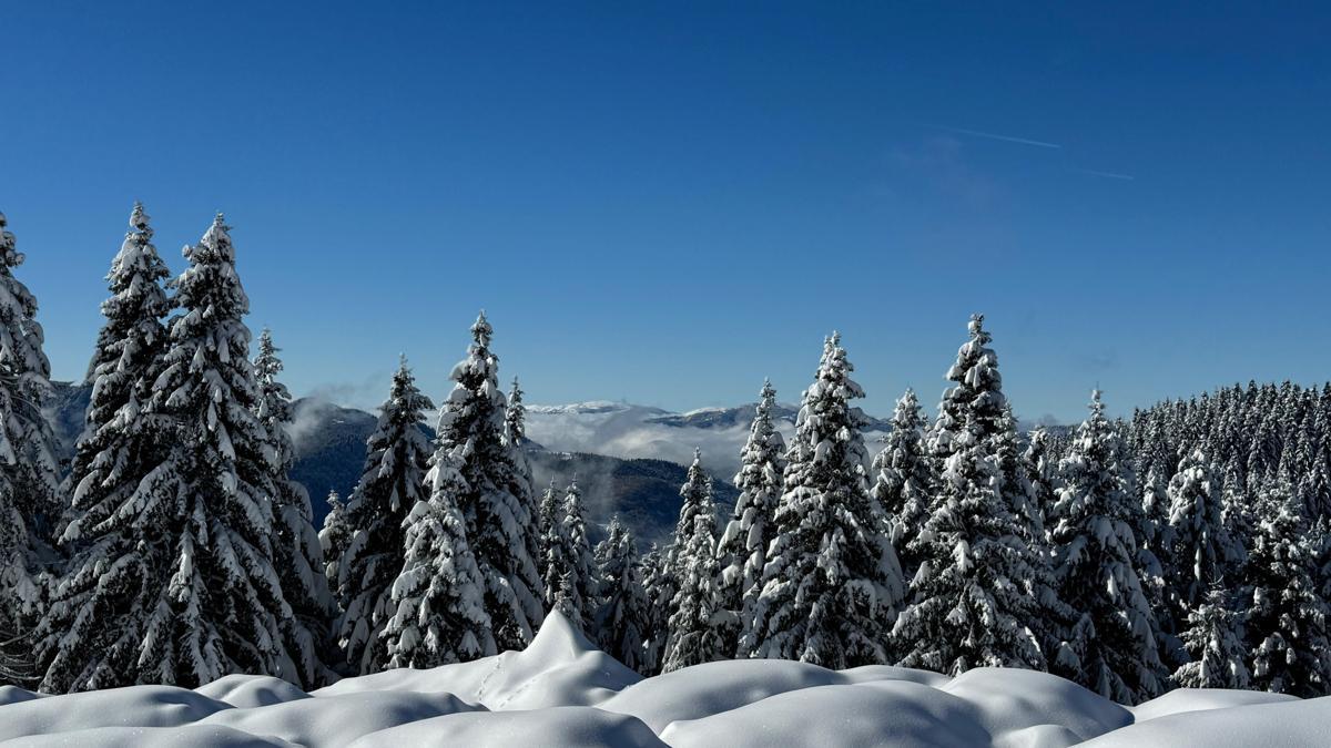 Ordu'da 2 bin rakımlı yaylada kar manzarası