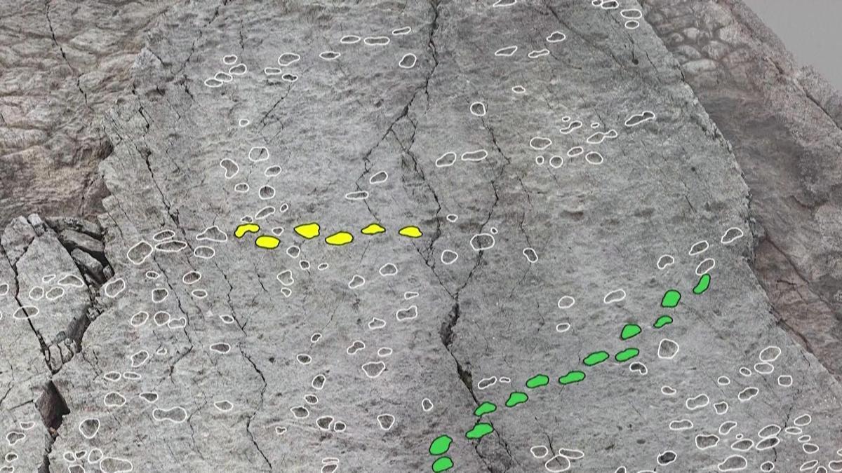 İtalya’da heyecanlandıran keşif: Bu izler tam 210 milyon yıllık!