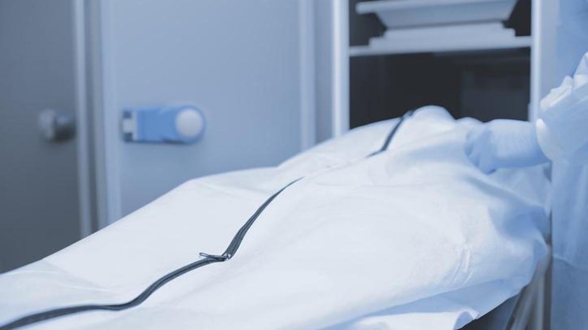 Harvard skandalı: Ceset parçalarını süs eşyası gibi satmış... Dehşet verici detaylar!