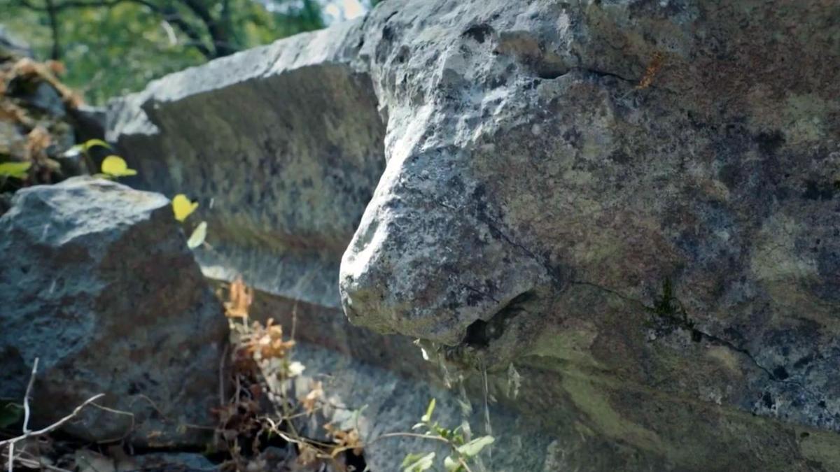 Büyük İskender'in fethedemediği antik kentte, 2 bin yıllık aslan başlı çörten kırıldı