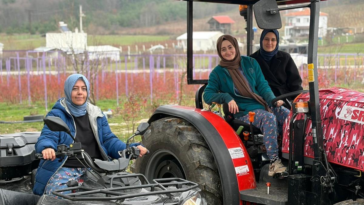 Kentten kırsala dönüp yaban mersini yetiştiren kadınlar, hemcinslerinin de bütçelerine katkı sağlıyor