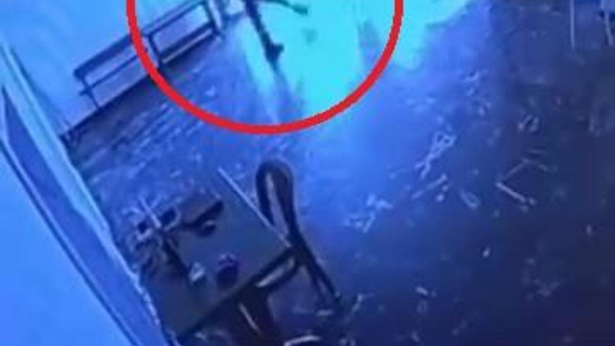 Belediyeye ait tesiste kediye tekmeli müdahale kamerada