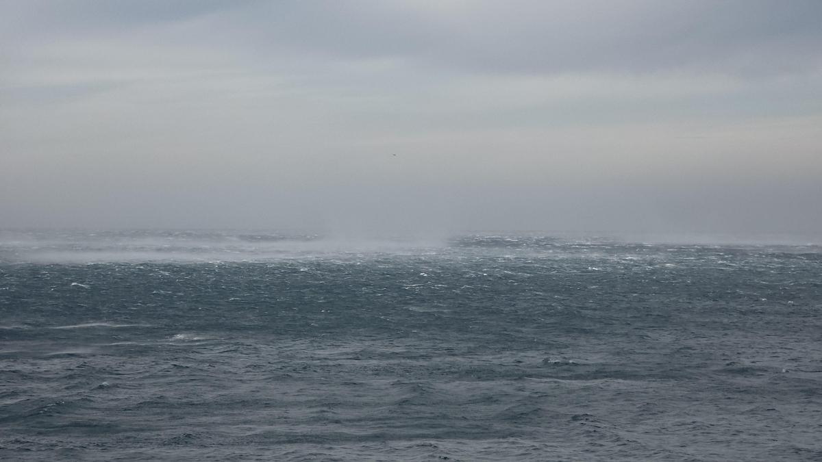 Samandağ'da rüzgar hayatı olumsuz etkiledi