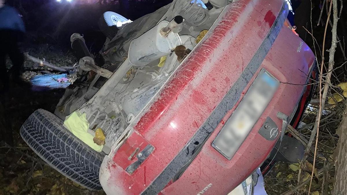 Kontrolden çıkan otomobil kayısı bahçesine uçtu