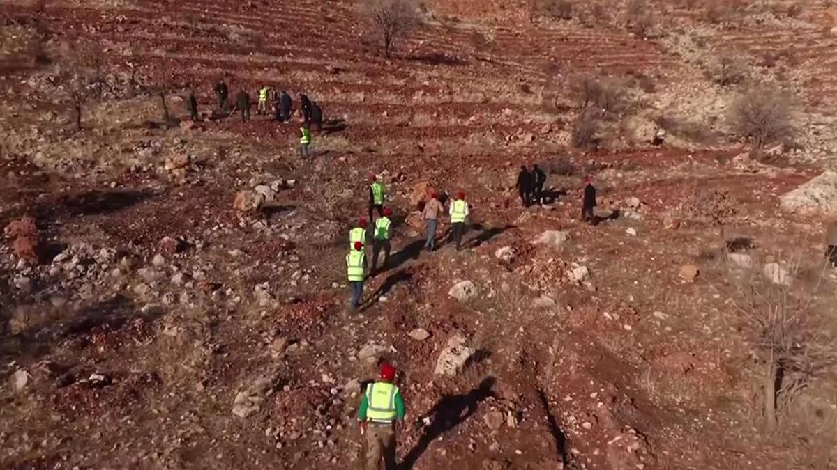 Türkiye'nin petrol üssü Gabara yeşil hamle