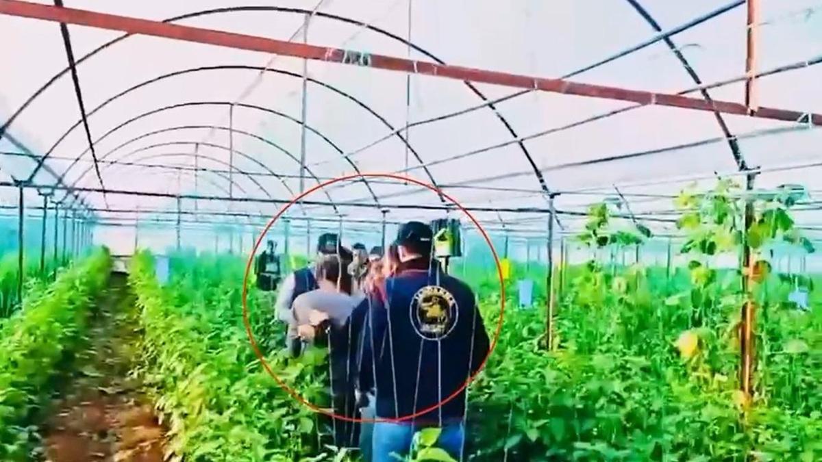 7 yıl kaçtı, sera bahçesinde yakalandı: 34 yıllık cinayet hükümlüsüne JASAT kıskacı