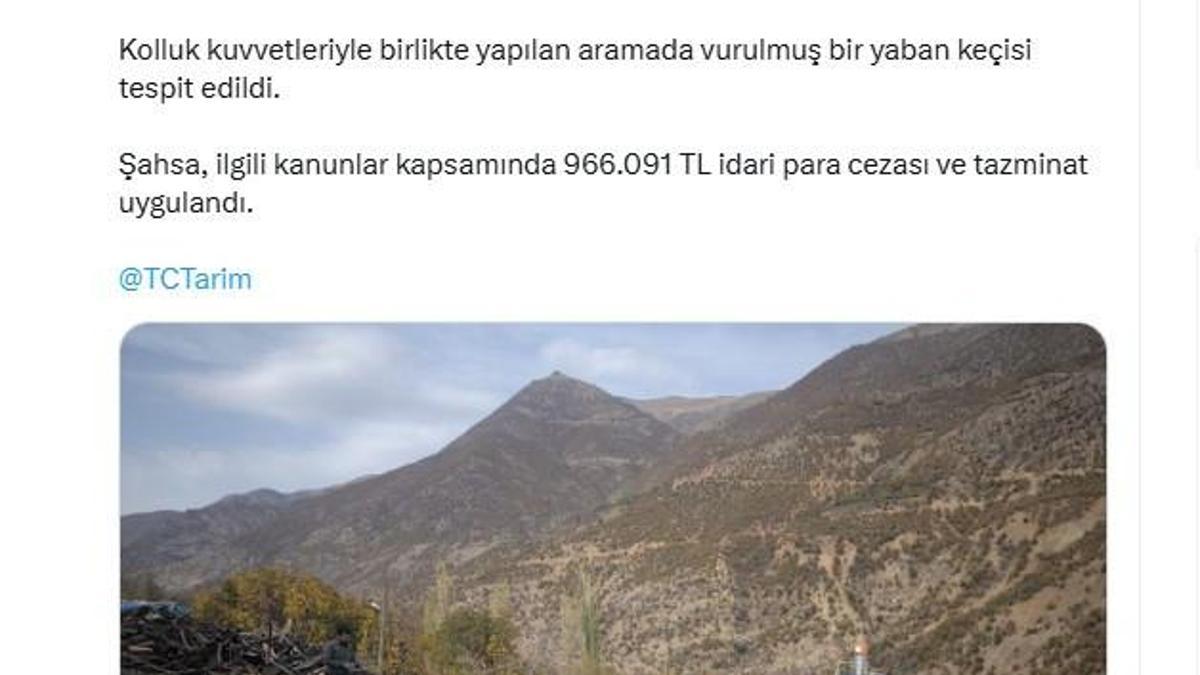 Yaban keçisi vuran avcıya 996 bin TL ceza