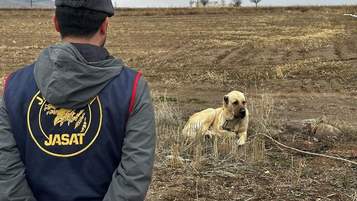 Nevşehirde köpek dövüştüren 19 kişi yakalandı