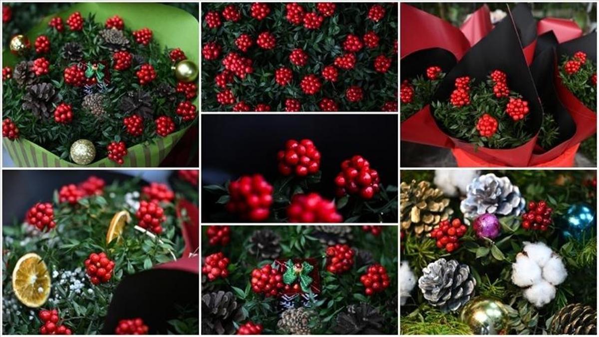 Yılbaşının vazgeçilmezi kokina tezgahlarda yerini aldı