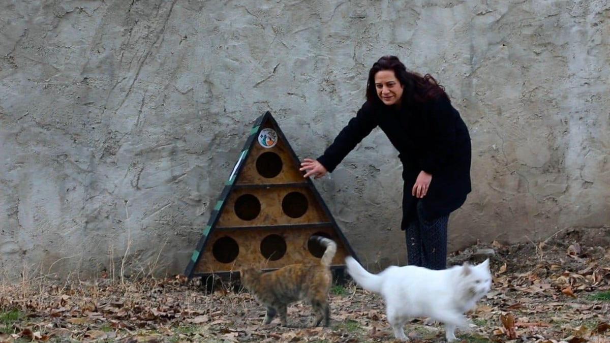 Tuşba Belediyesinden sokak kedileri için kış önlemi