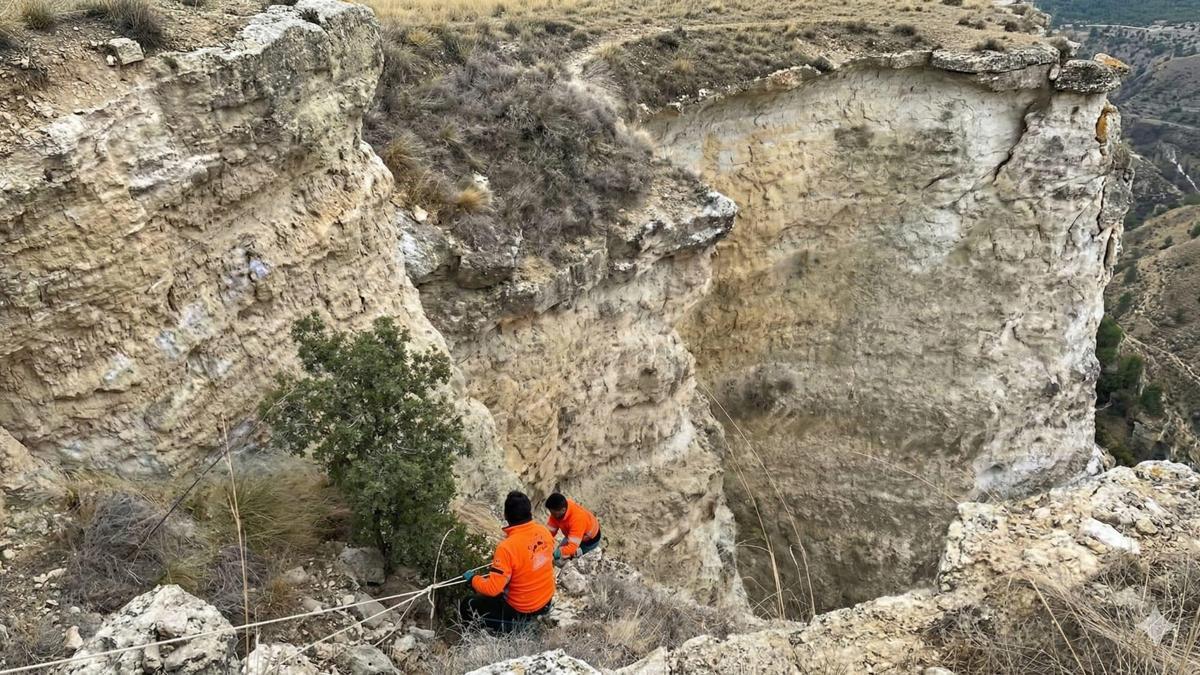 Avcılar, uçurumdan yuvarlanan köpeği kurtardı