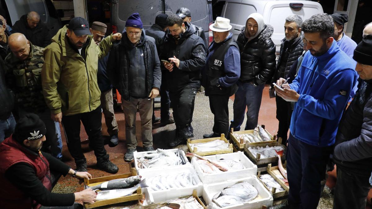 Palamut az, hamsi zirvede: Marmara balık hallerinde dikkat çeken rakamlar