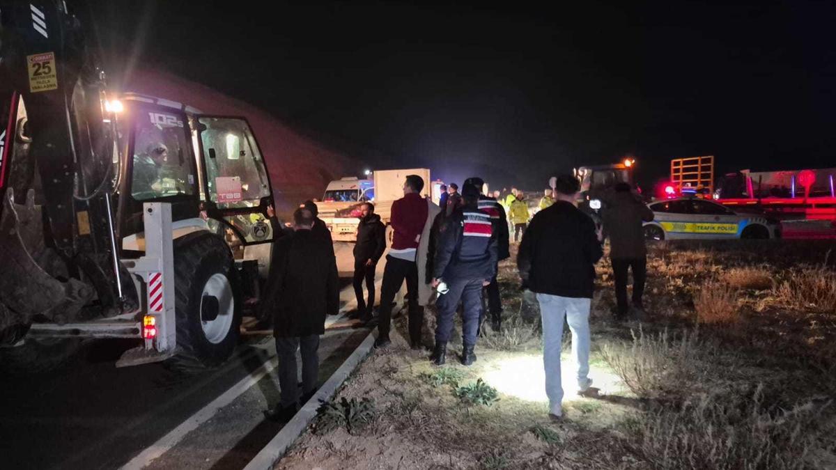 Malatya'da milyonluk yarış tayları çiftlikten kaçtı; 8'i öldü, bazıları kayıp