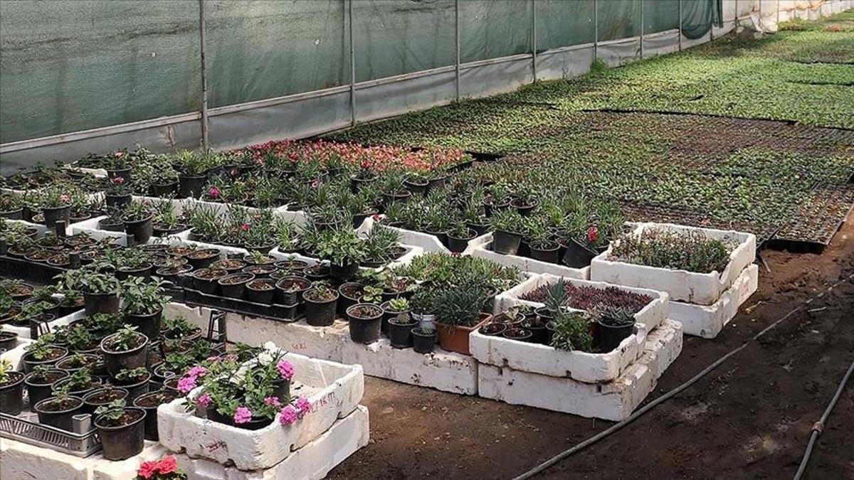 Fide sektörüne yönelik rekabet soruşturması başlatıldı