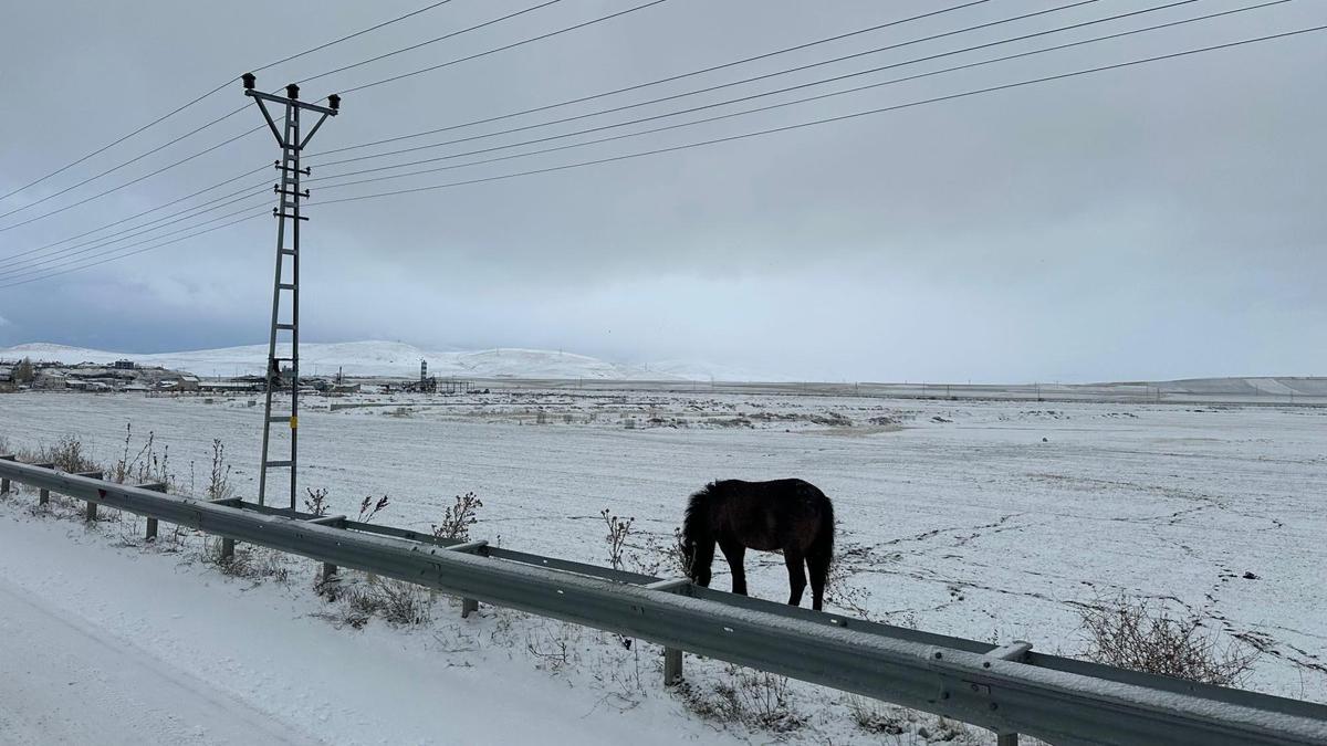 Ağrı ve Hakkari beyaza büründü