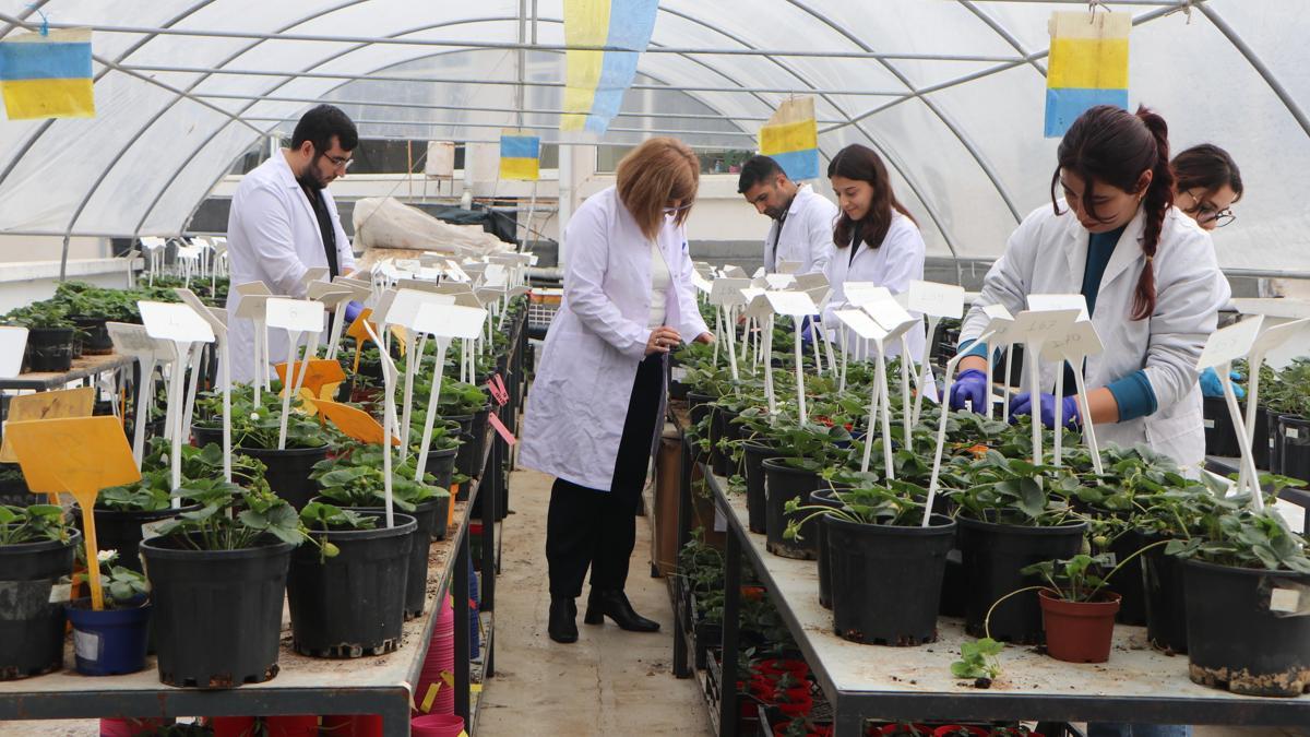 Öğrencileri olumsuz hava şartlarından korumak için fakültenin terasına sera kurdu / Ek fotoğraflar