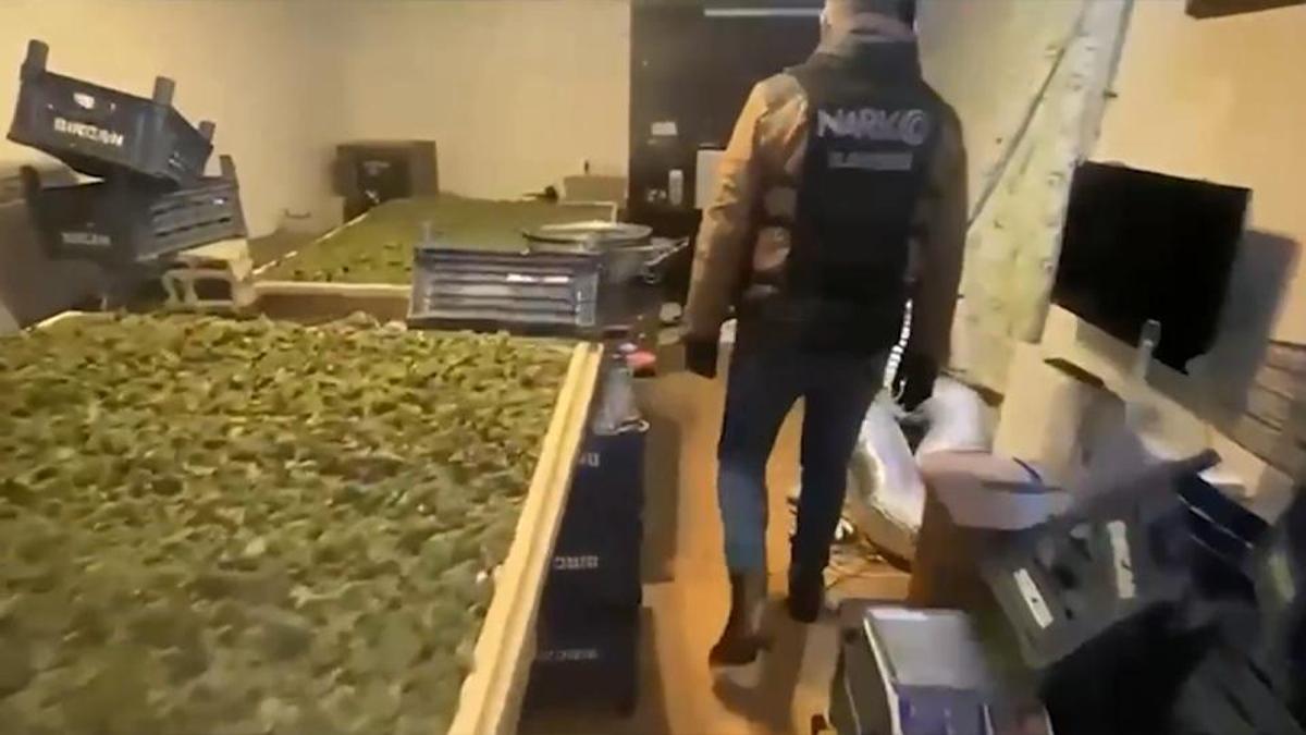 SON DAKİKA | 65 ilde zehir tacirlerine operasyon: 768 kişi yakalandı