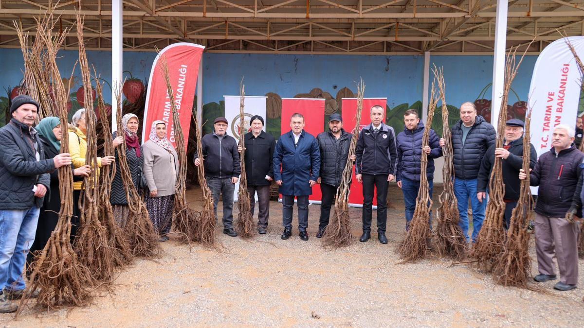 Bilecik'te Meyveciliği Geliştirme Projesi kapsamında çiftçiliere fidan dağıtıldı