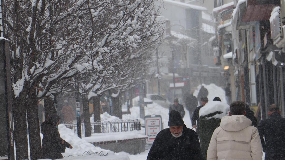 Doğu buz kesti; 2 ilçe eksi 25 dereceyi gördü