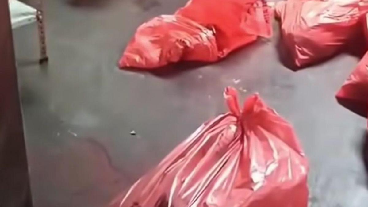 ABB'den 'çöp poşetinde ölü köpek' soruşturması açıklaması