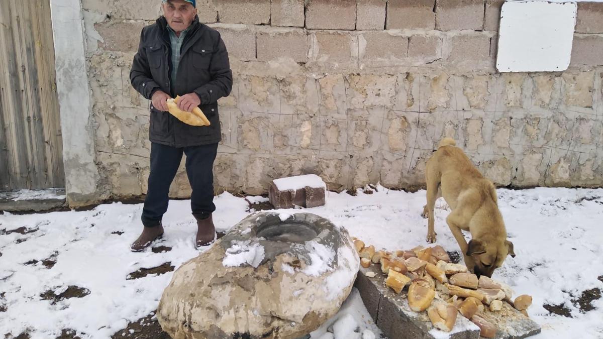 Hayvanlara yaz-kış su ve ekmek taşıyor