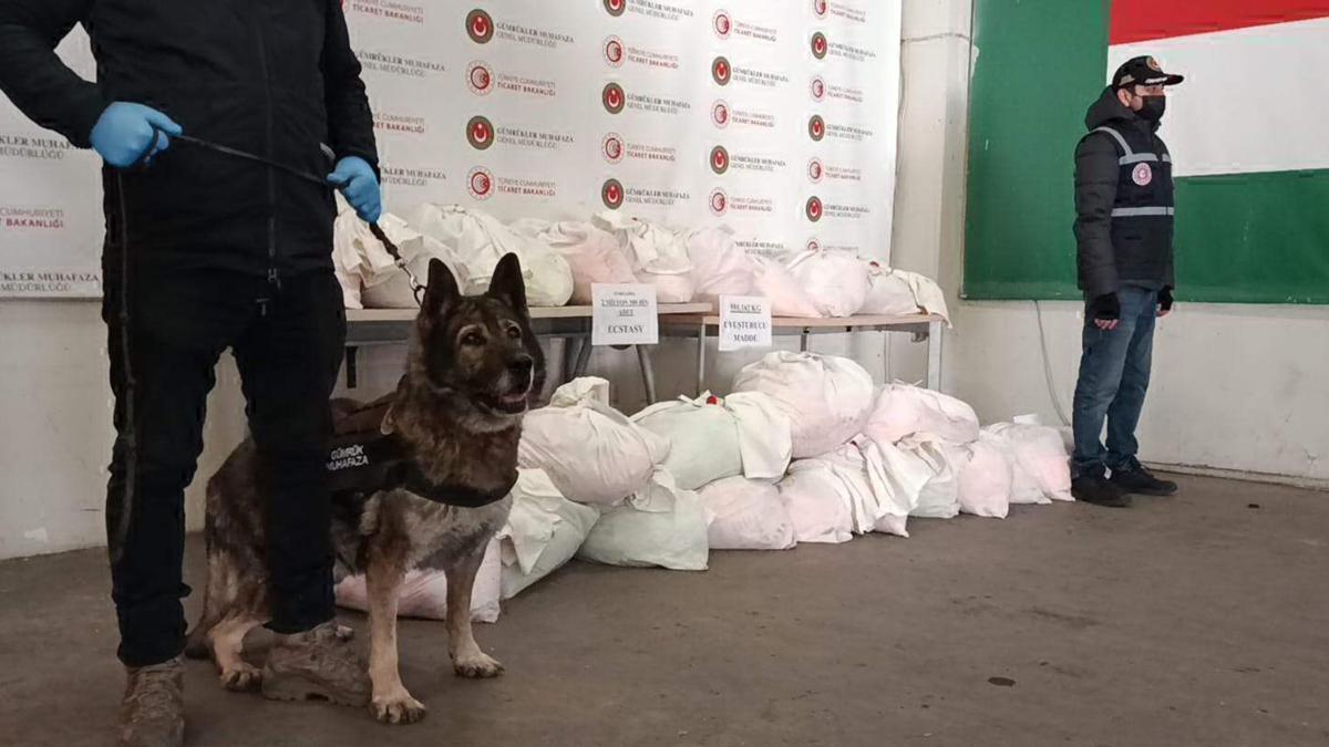 Kapıkule'ye gelen TIR'daki 591 kilo uyuşturucuyu 'Bodri' buldu