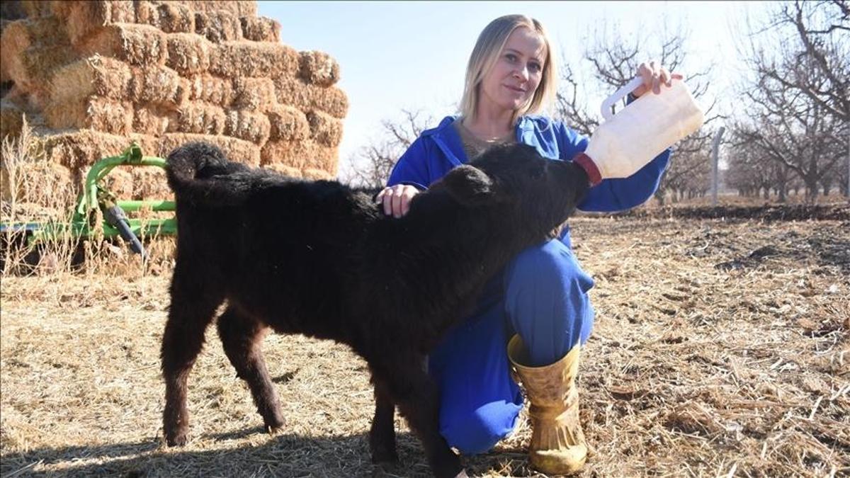 Karamanlı genç kadın, devlet desteğiyle hayvancılığa adım attı