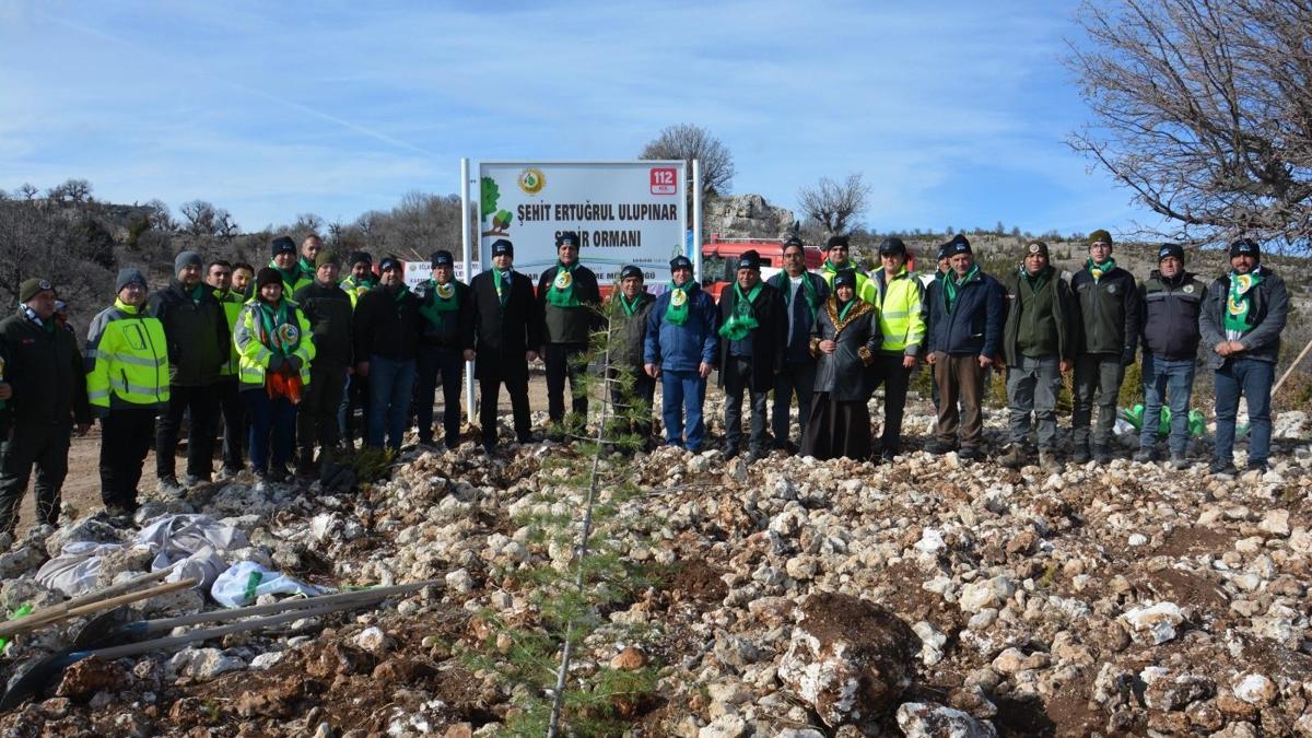 Şehit Ertuğrul Ulupınar Sedir Ormanı oluşturuldu