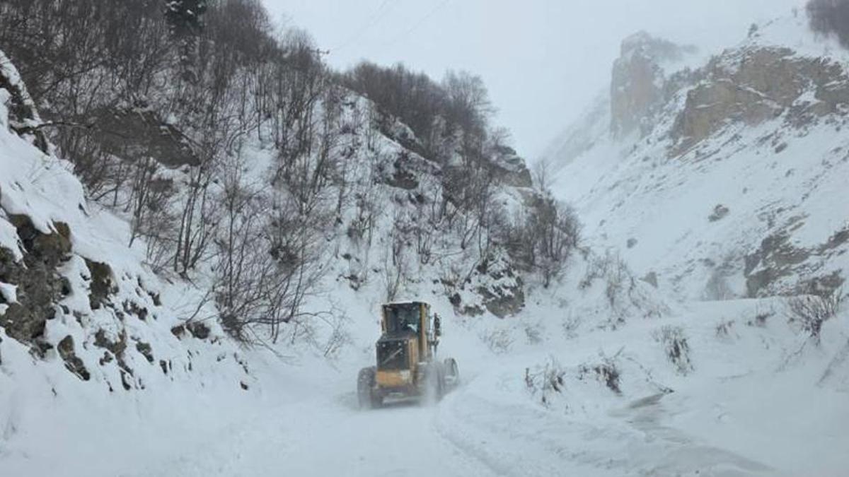 Artvin'de çığ felaketi! Vali Ergün: 3 kişi çığ atında kaldı