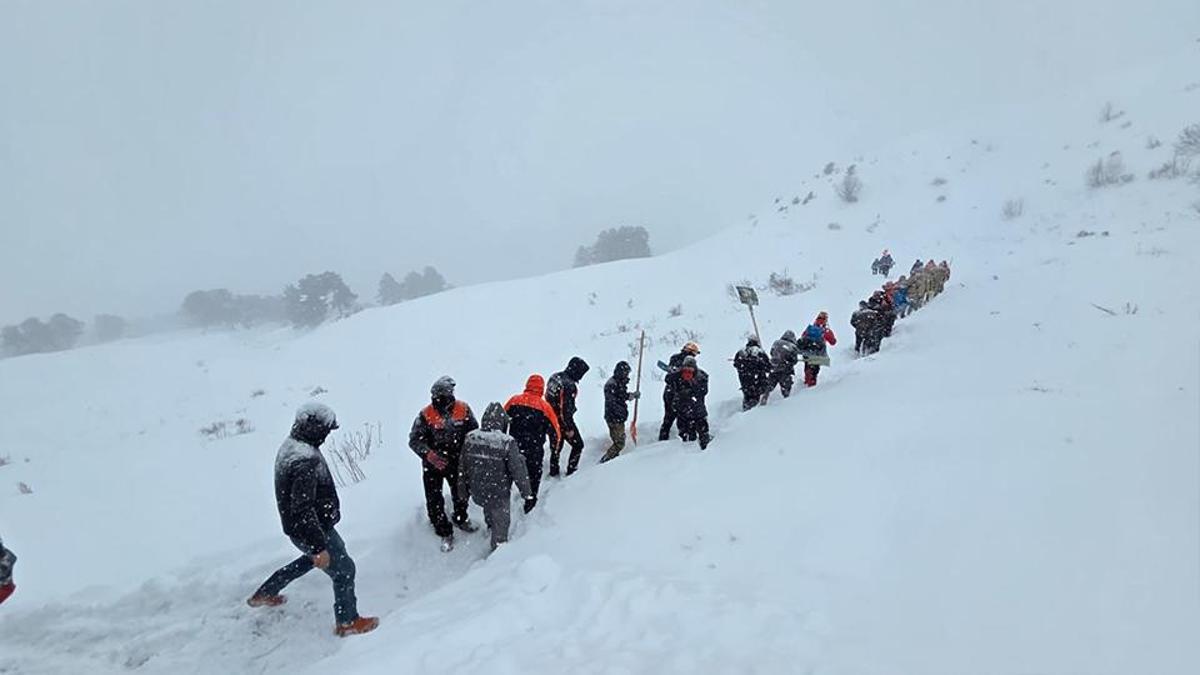 Artvinde facia: Çığ altında kalan çobanlar için topyekün seferberlik: Aramalar yeniden başladı