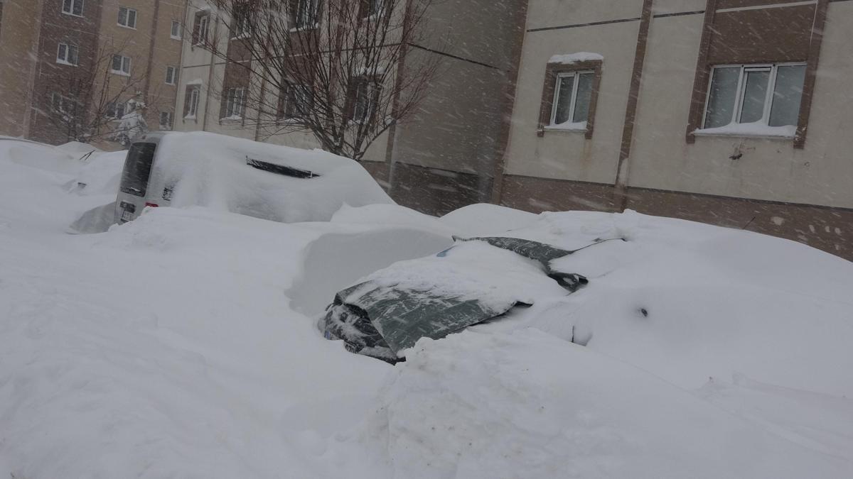 Bitliste kar hayatı durma noktasına getirdi