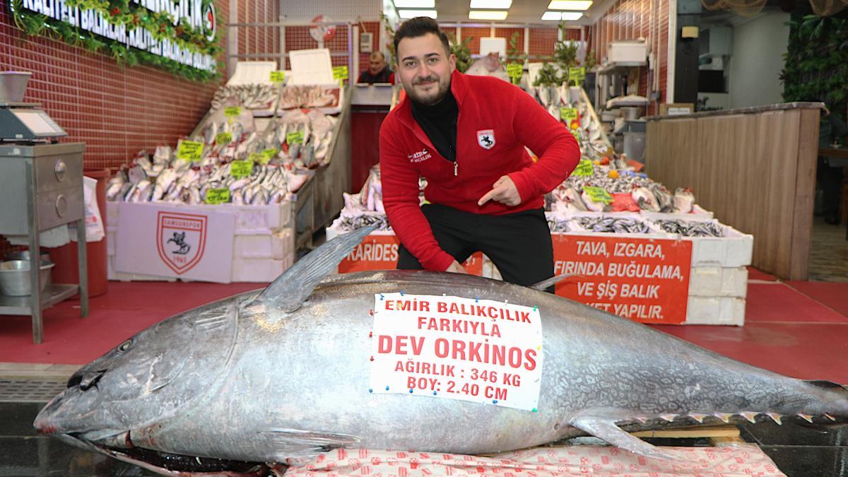 Düzcede avlanan 346 kiloluk orkinos, Samsunda satışa çıkarıldı