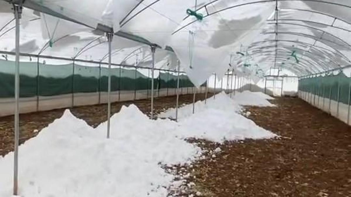 Siirtte kar nedeniyle seralar çöktü, cami girişindeki çatı yıkıldı