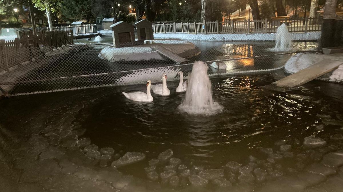 Ankara'nın simgelerinden Kuğulu Park'taki havuz bu…
