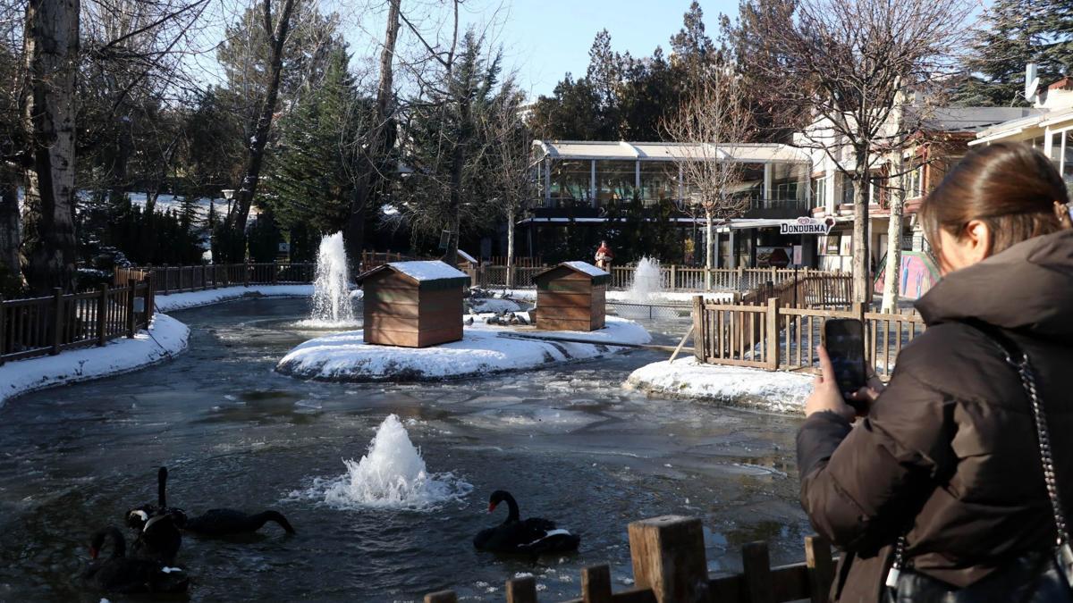Ankara'da Kuğulu Park havuzu ve Eymir Gölü buz tuttu