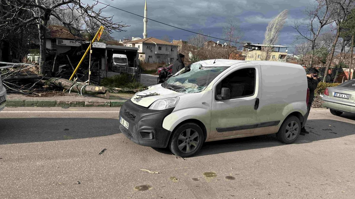 Bursada kuvvetli rüzgar hayatı olumsuz etkiledi