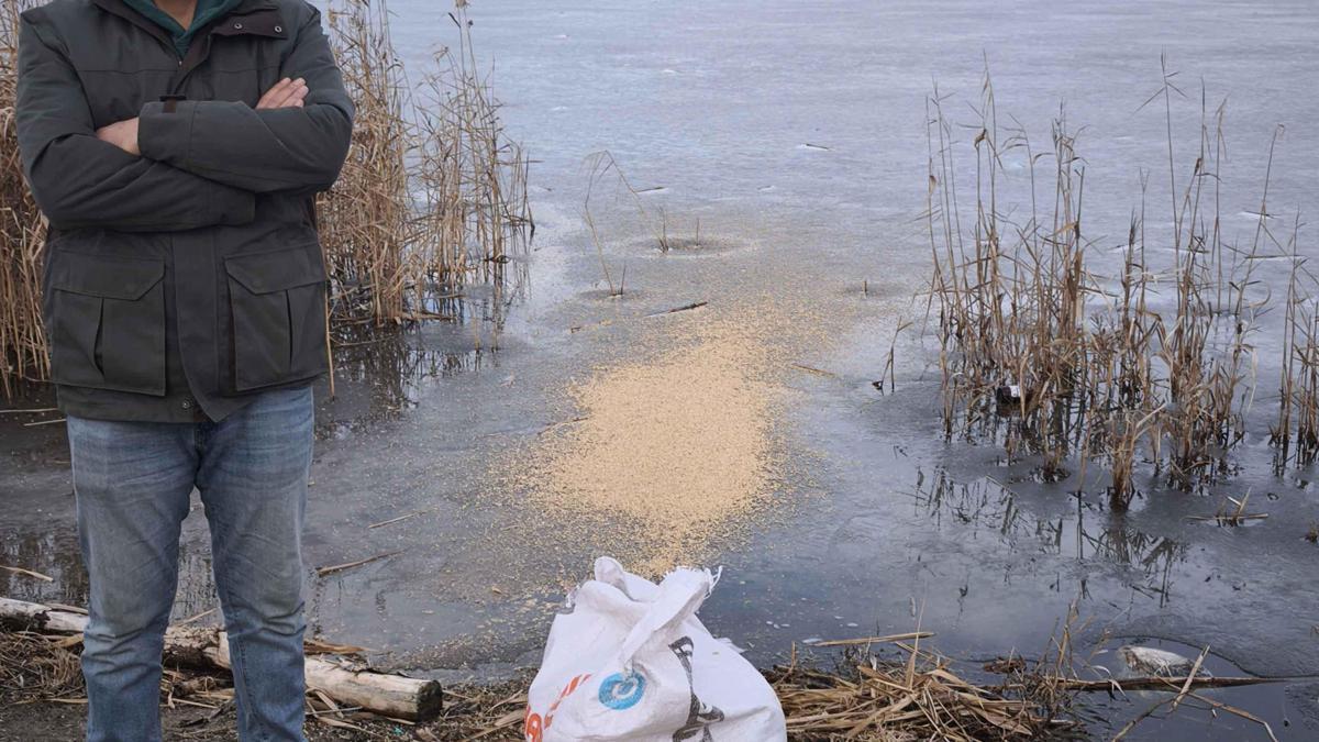 Gönüllüler donan Eber Gölü'ne kuşlar için yem bıra…