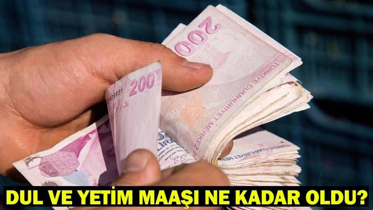 DUL VE YETİM AYLIĞI, 65 YAŞ AYLIĞI NE KADAR OLDU? Enflasyon rakamları sonrası dul, yetim aylığı ve 65 yaş maaşı miktarı!