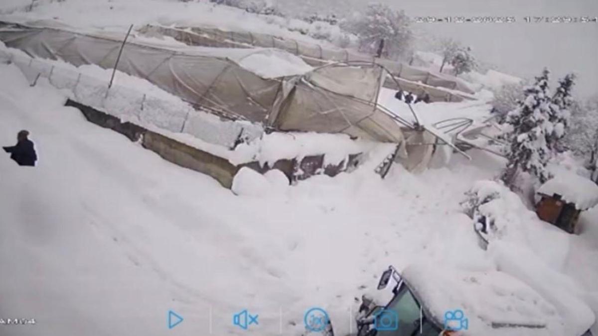 Üzerinde kar biriken seranın çökme anı kamerada