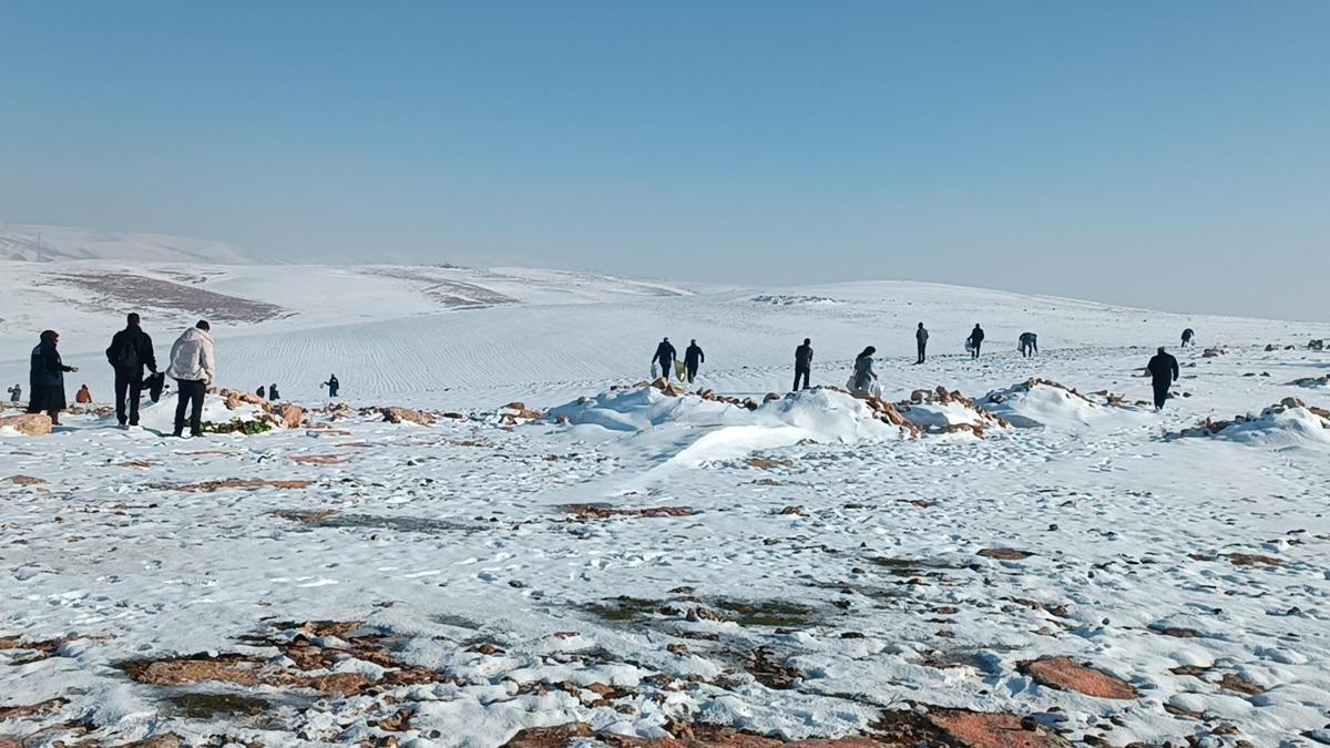 Batmanda yaban hayvanları için doğaya 1 ton yem bırakıldı
