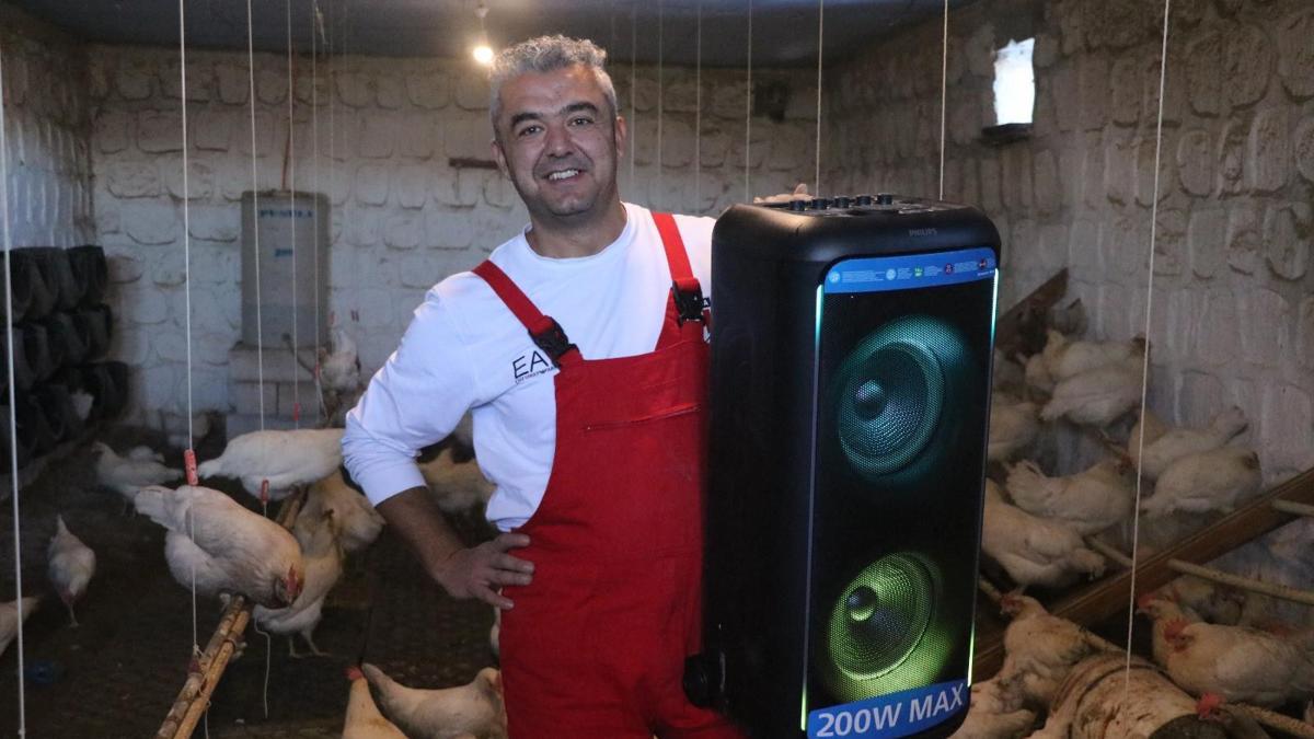 Türk sanat müziği dinlettiği tavuklardan yüzde 6 verim artışı sağladı