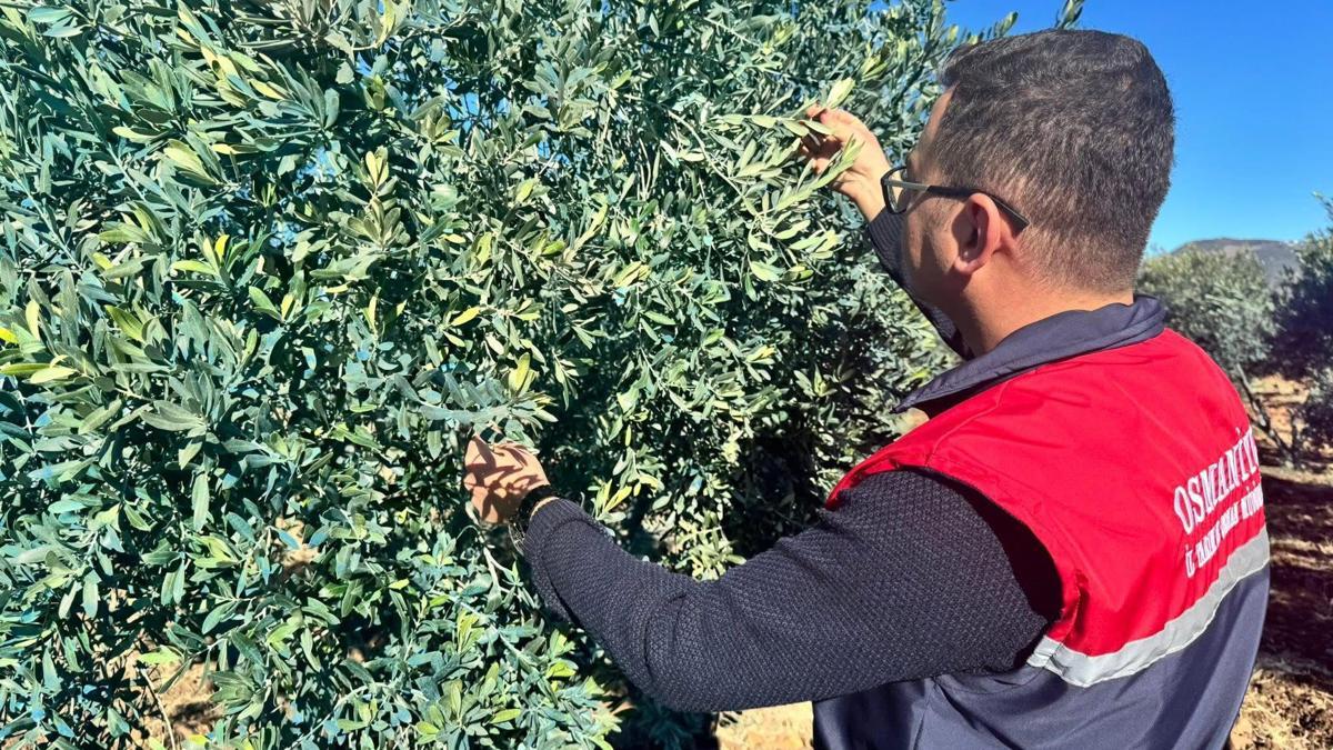 Don sonrası saha kontrolü