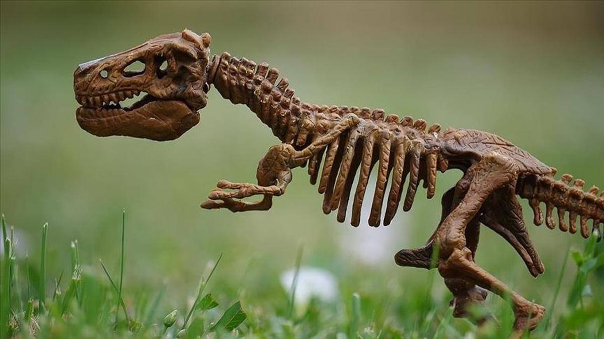 Sivrisinekler dinozor DNA'sı mı taşıyor? Jurassic Park haklı çıktı