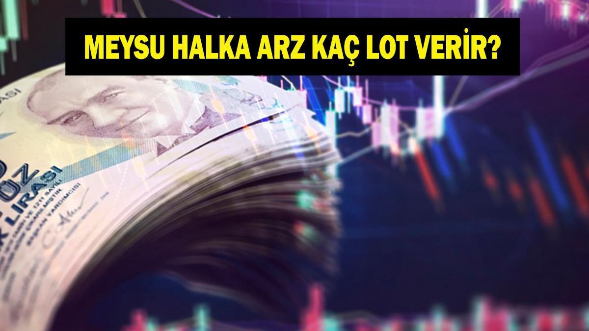MEYSU HALKA ARZ KAÇ LOT VERİR? Meysu halka arz tarihleri ne, katılım endeksine uygun mu? Meysu halka arz hangi bankalarda var?