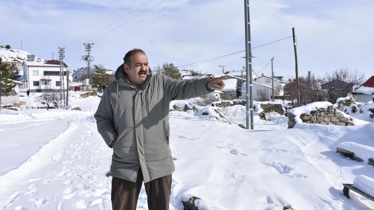 Yaban hayvanları, köpeksiz köyü mesken tuttu